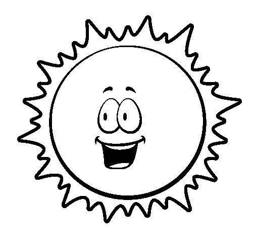 Sol #29205
