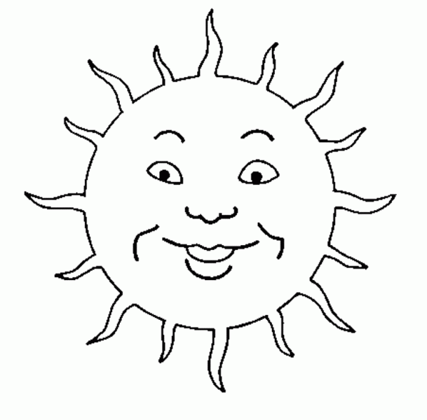 Sol #29206