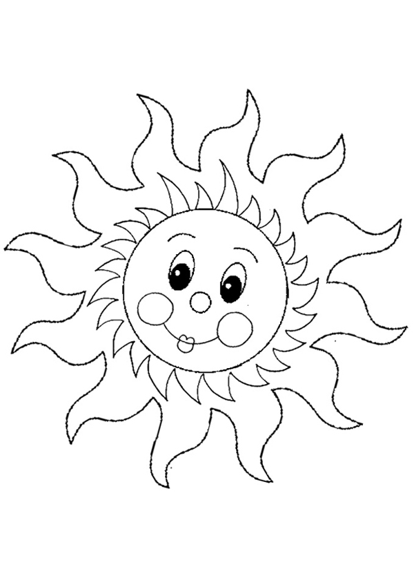 Sol #29207