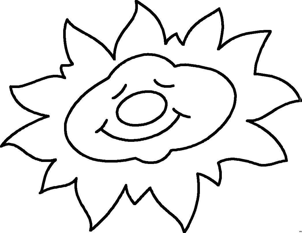 Sol #29208