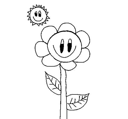 Sol #29226