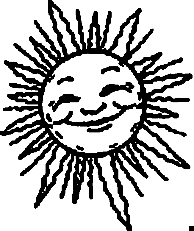 Sol #29229