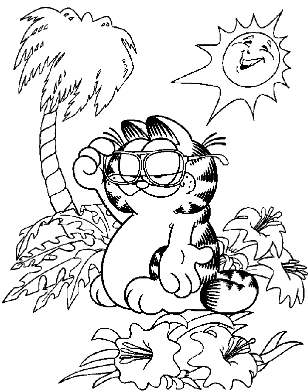 Sol #29237