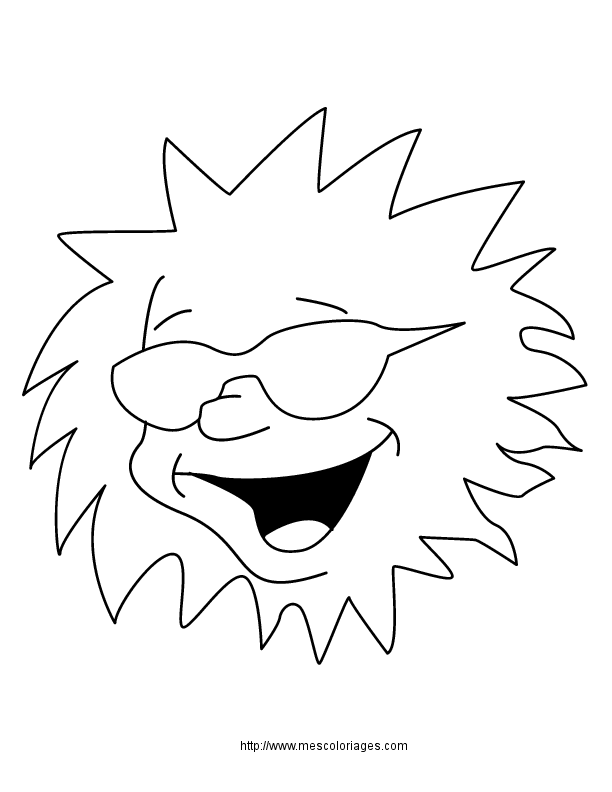 Sol #29245