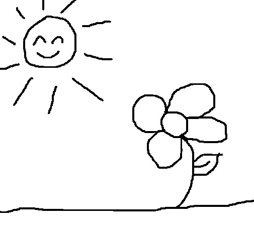 Sol #29262