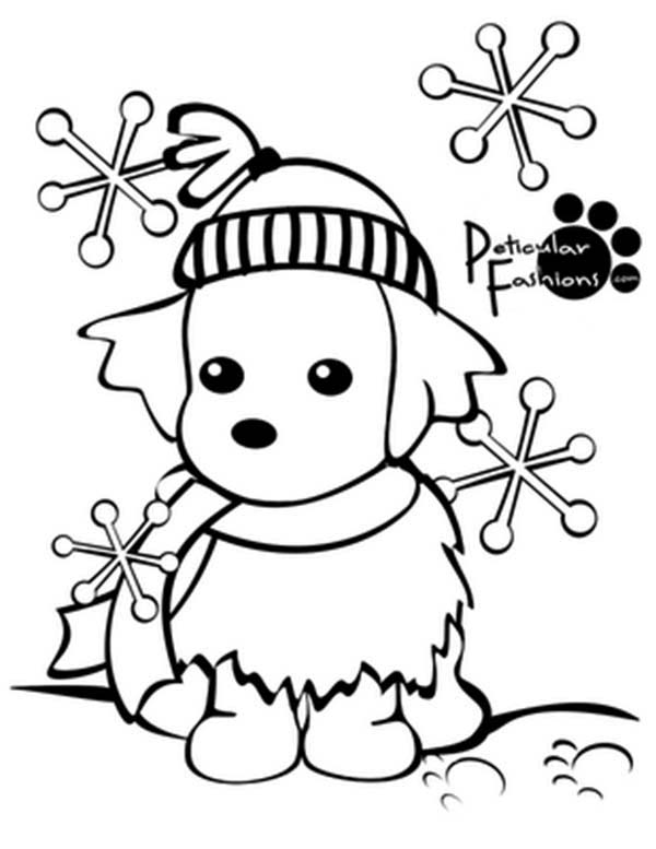 Temporada de Invierno #29320