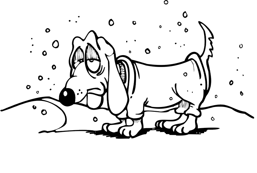 Temporada de Invierno #29486