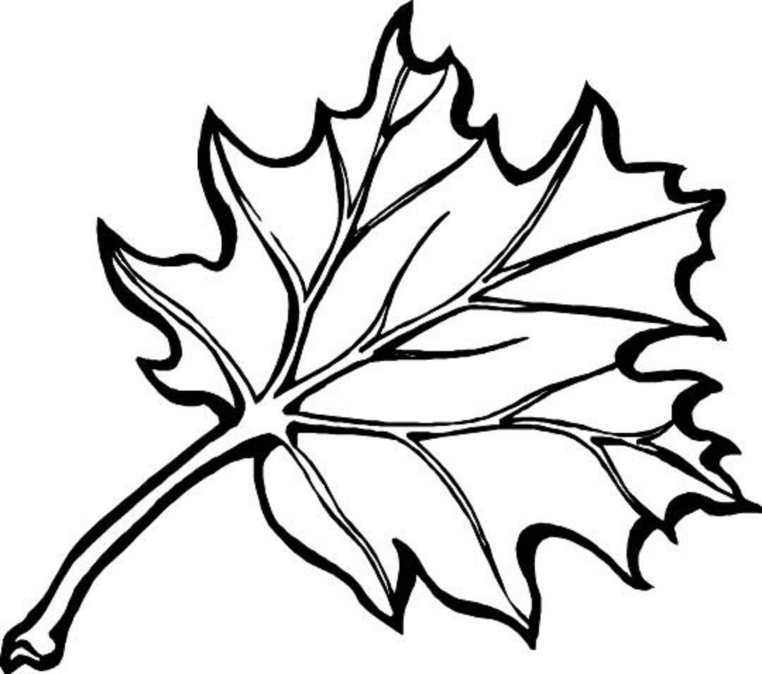 Temporada de Otoño #29585