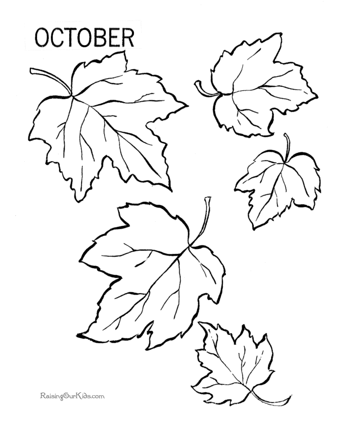 Temporada de Otoño #29593