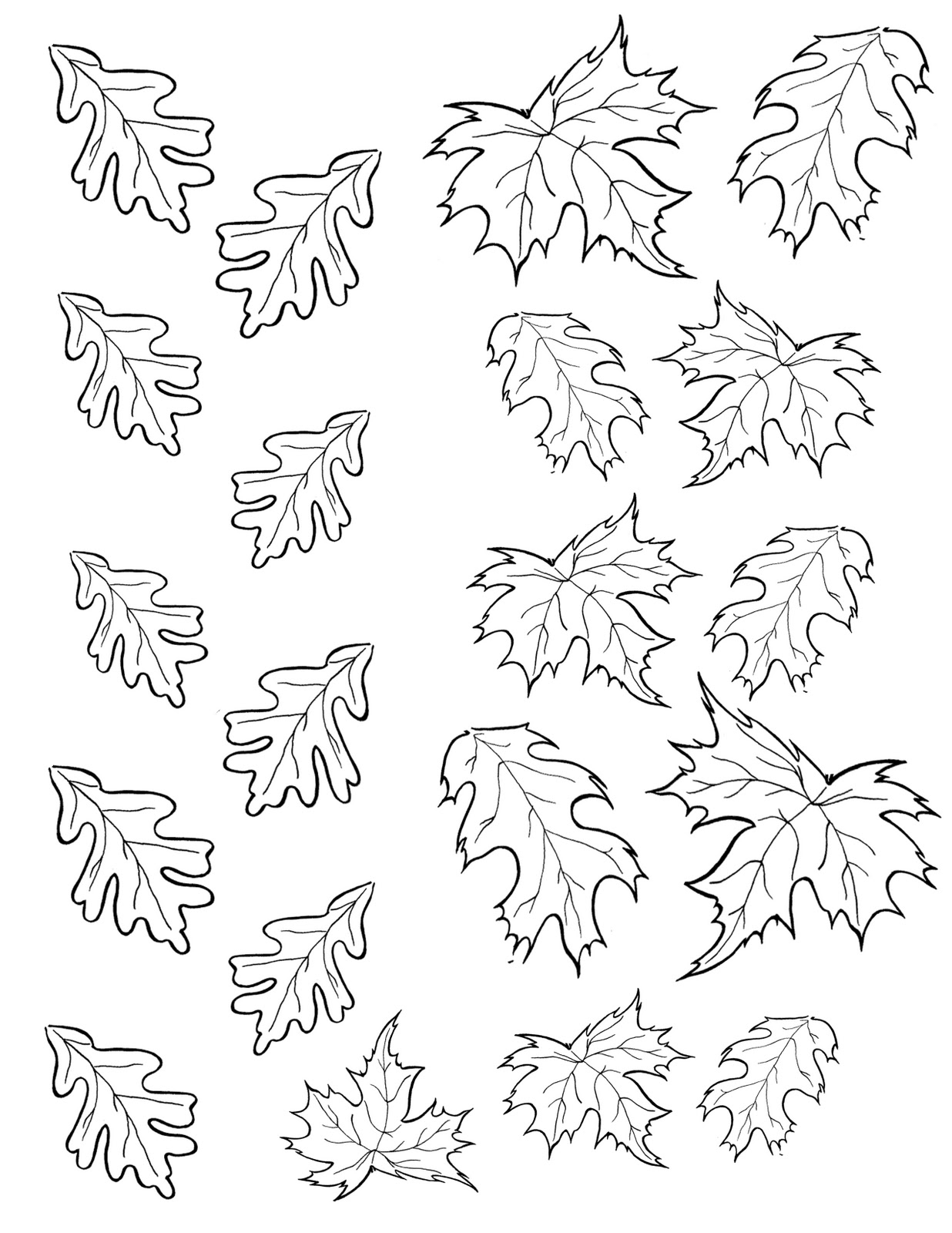 Temporada de Otoño #29598