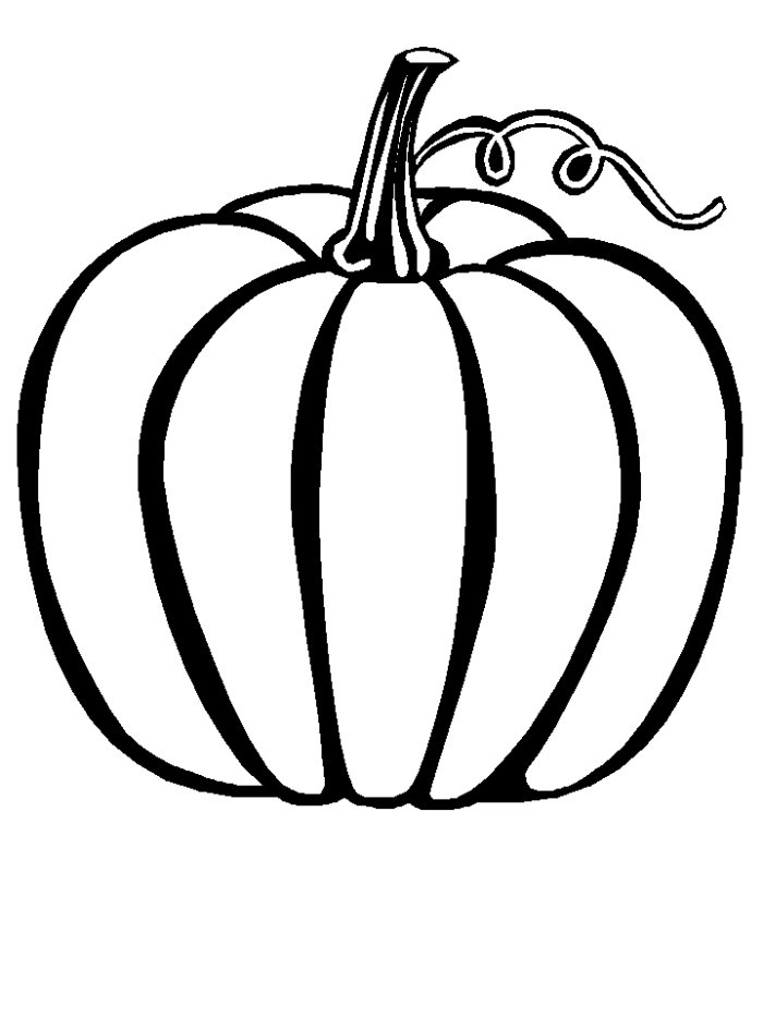 Temporada de Otoño #29602