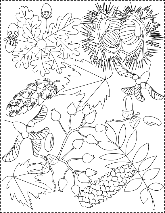 Temporada de Otoño #29604