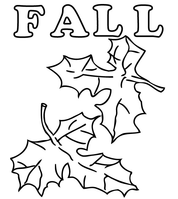Temporada de Otoño #29611