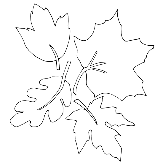 Temporada de Otoño #29612