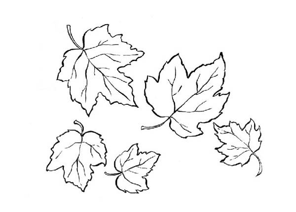 Temporada de Otoño #29616