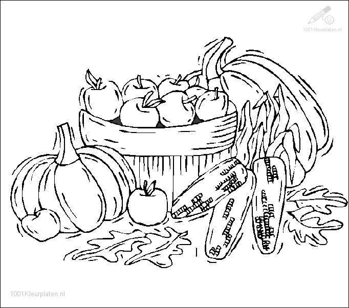 Temporada de Otoño #29619