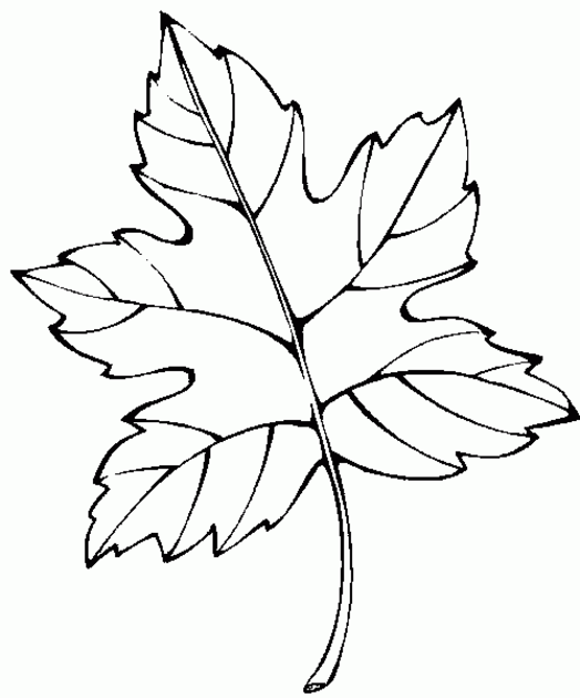 Temporada de Otoño #29623