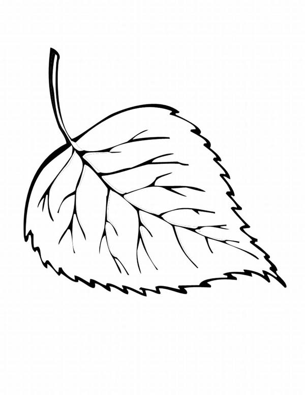 Temporada de Otoño #29627