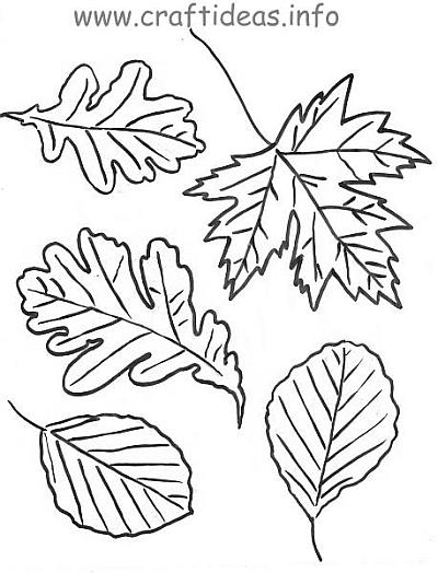 Temporada de Otoño #29633