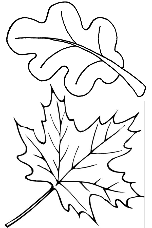 Temporada de Otoño #29642