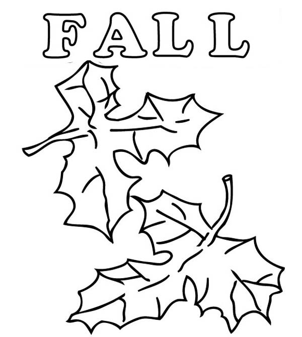 Temporada de Otoño #29644