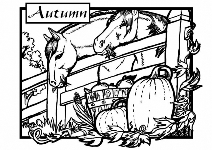 Temporada de Otoño #29654