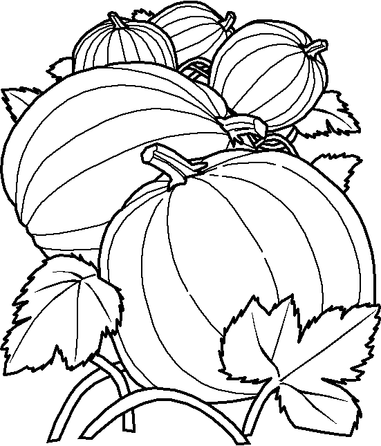 Temporada de Otoño #29656