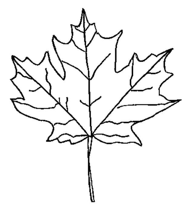 Temporada de Otoño #29673