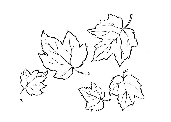 Temporada de Otoño #29677