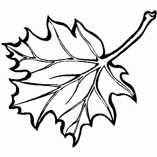 Temporada de Otoño #29683