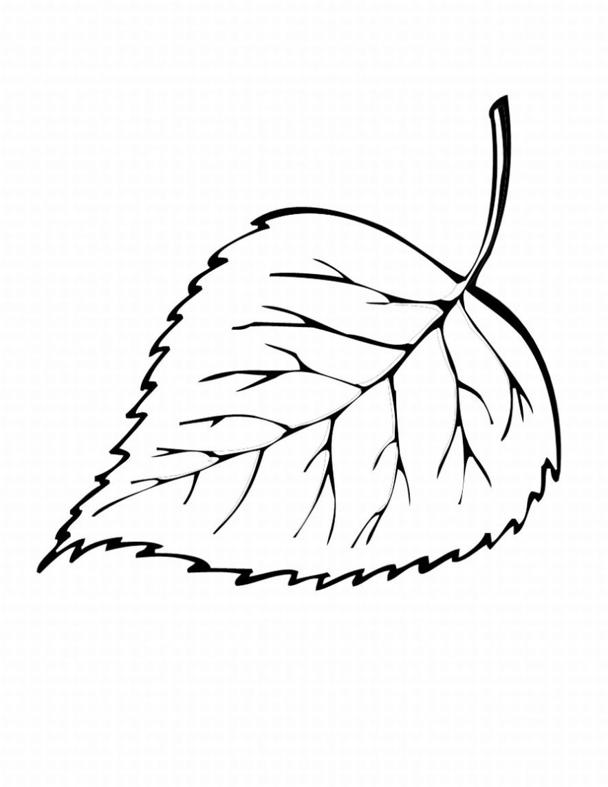 Temporada de Otoño #29700