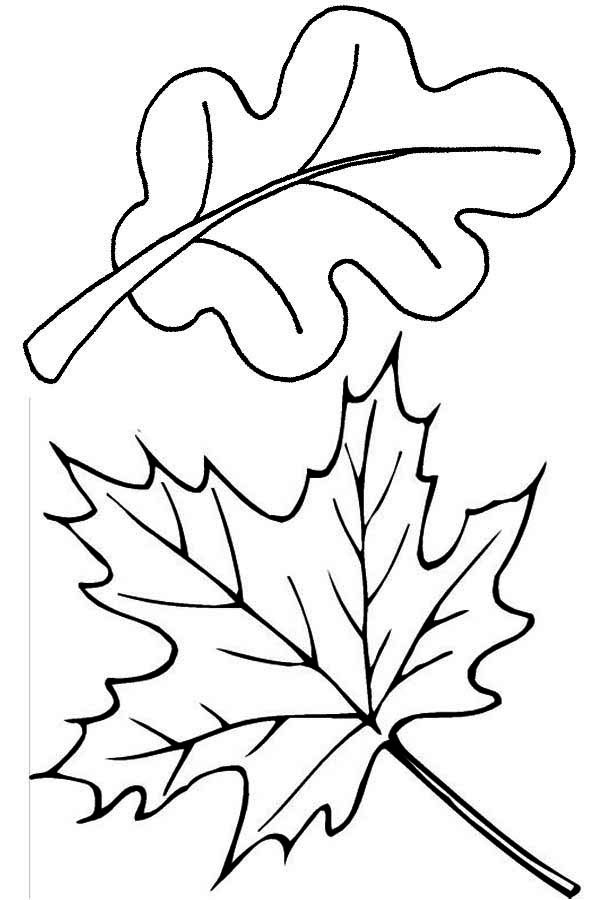 Temporada de Otoño #29706
