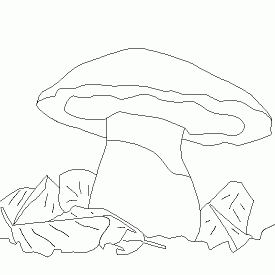 Temporada de Otoño #29754