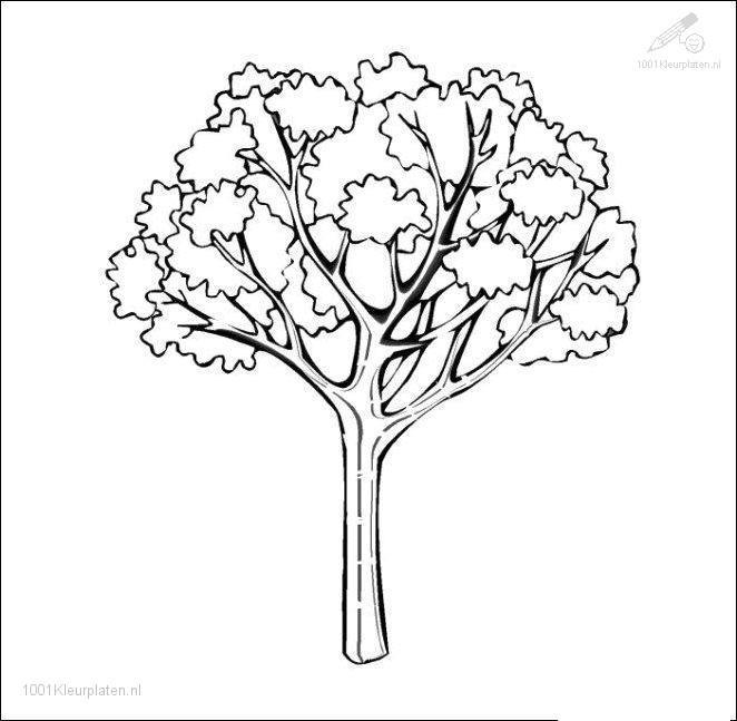 Temporada de Otoño #29757