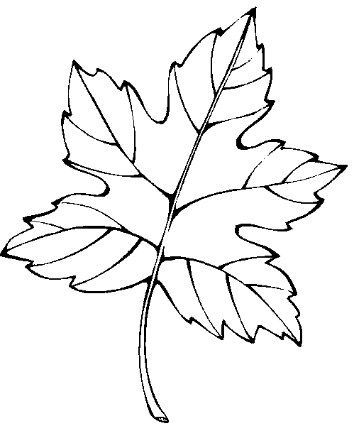 Temporada de Otoño #29766