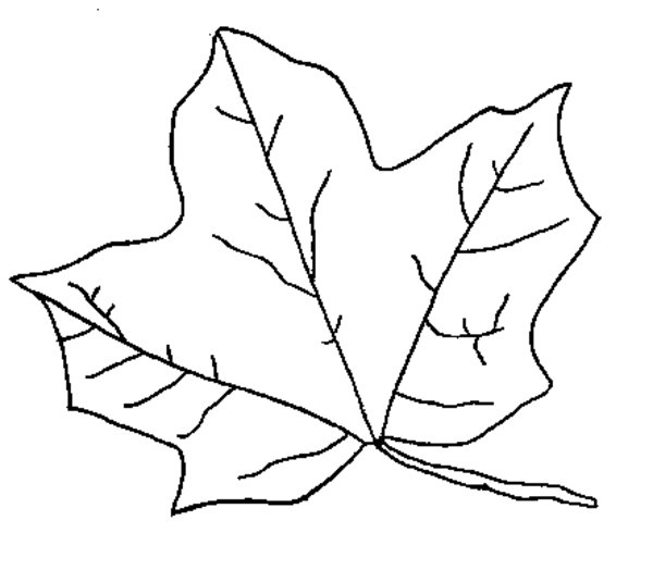 Temporada de Otoño #29797