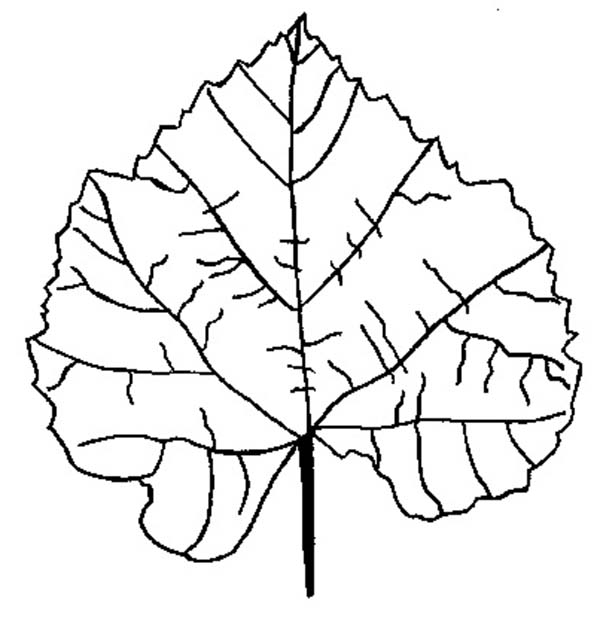 Temporada de Otoño #29800