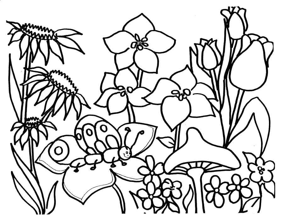 Temporada de Primavera #29810