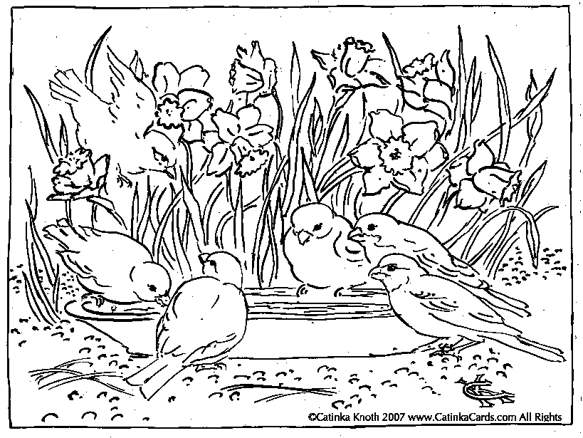 Temporada de Primavera #29813