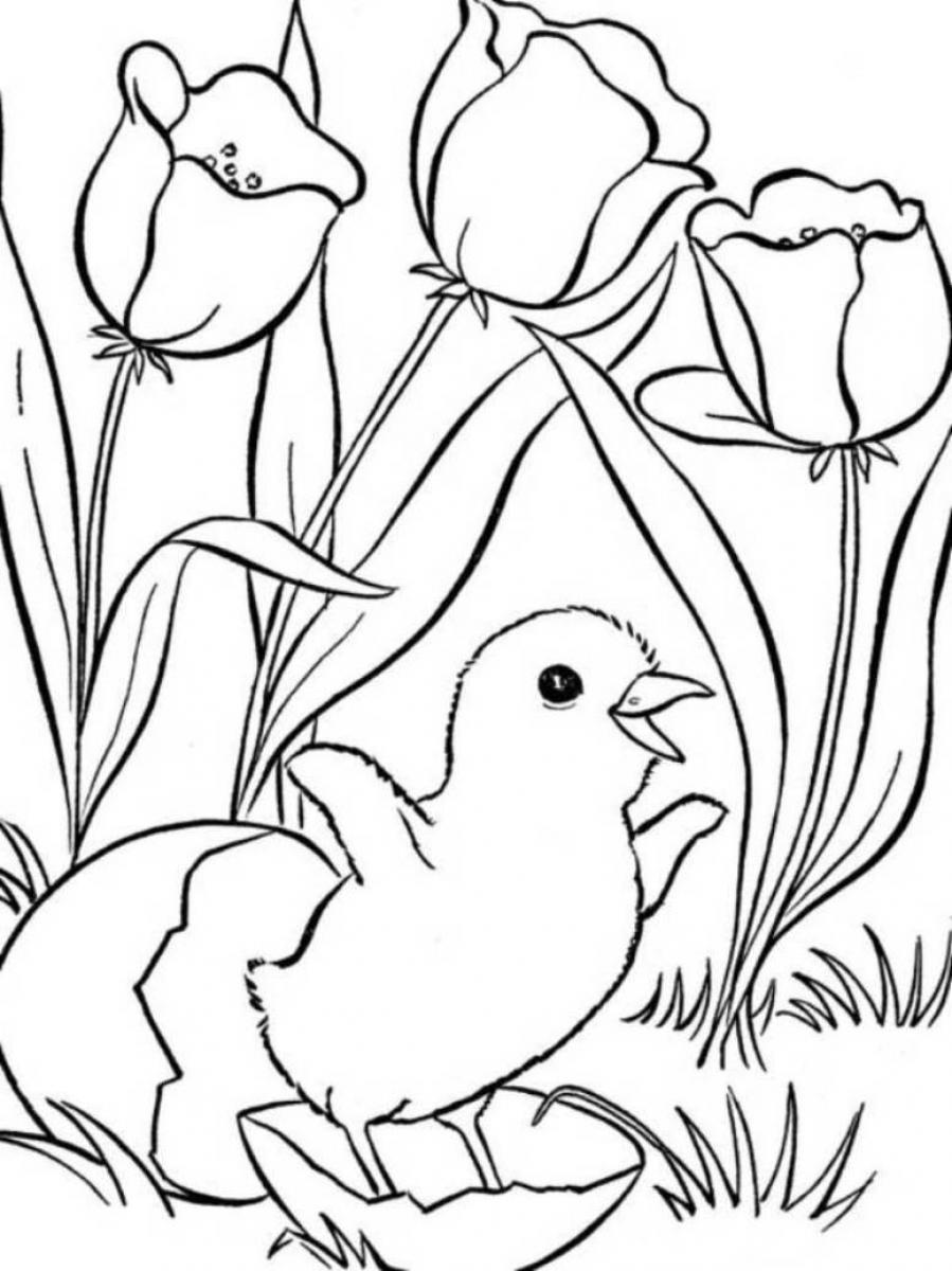 Temporada de Primavera #29814