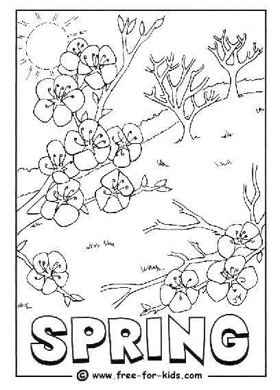 Temporada de Primavera #29831