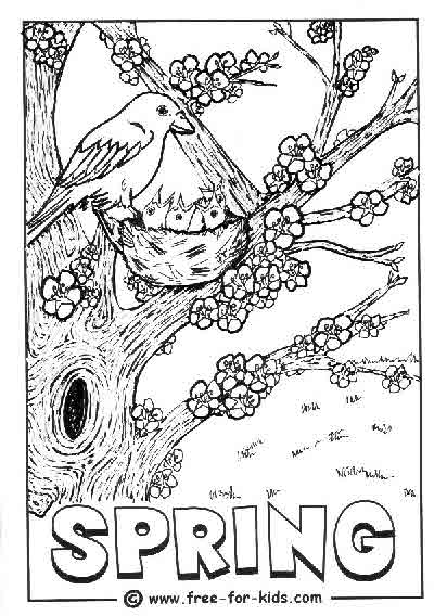 Temporada de Primavera #29864