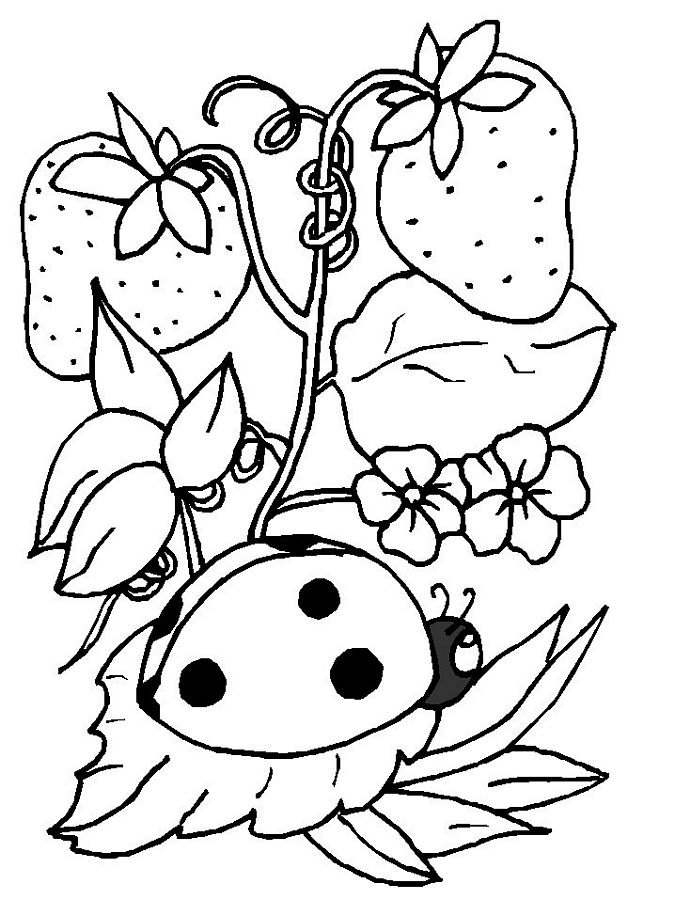 Temporada de Primavera #29897