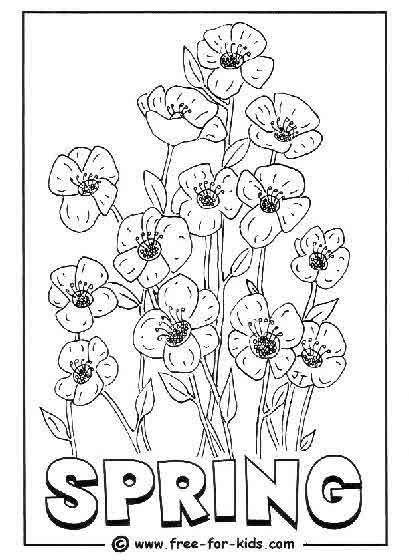 Temporada de Primavera #29913