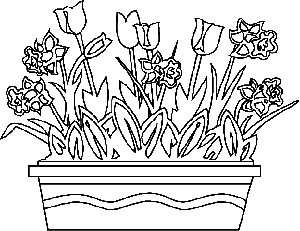 Temporada de Primavera #30010