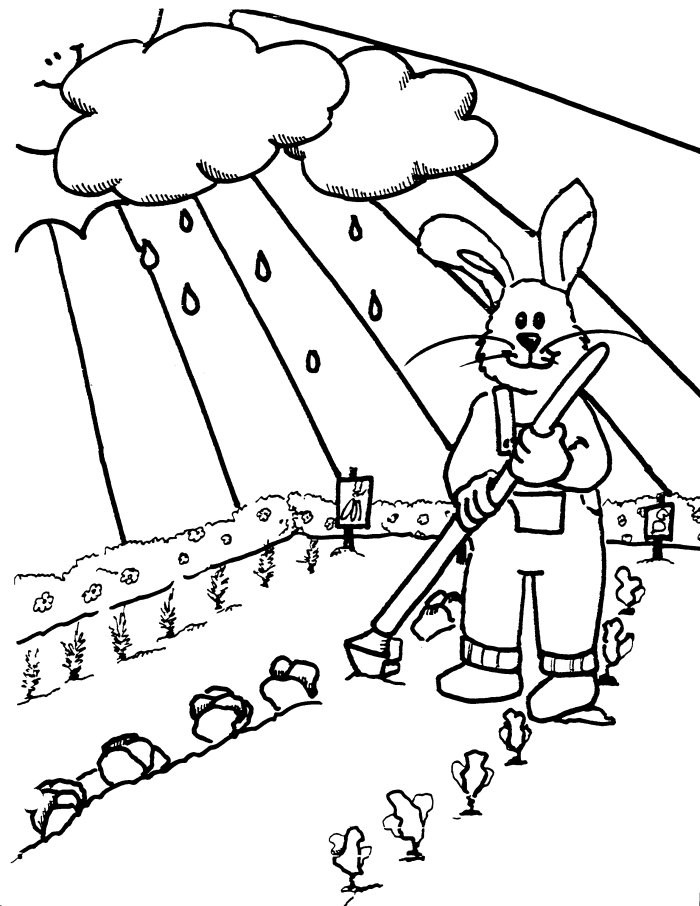 Temporada de Primavera #30060
