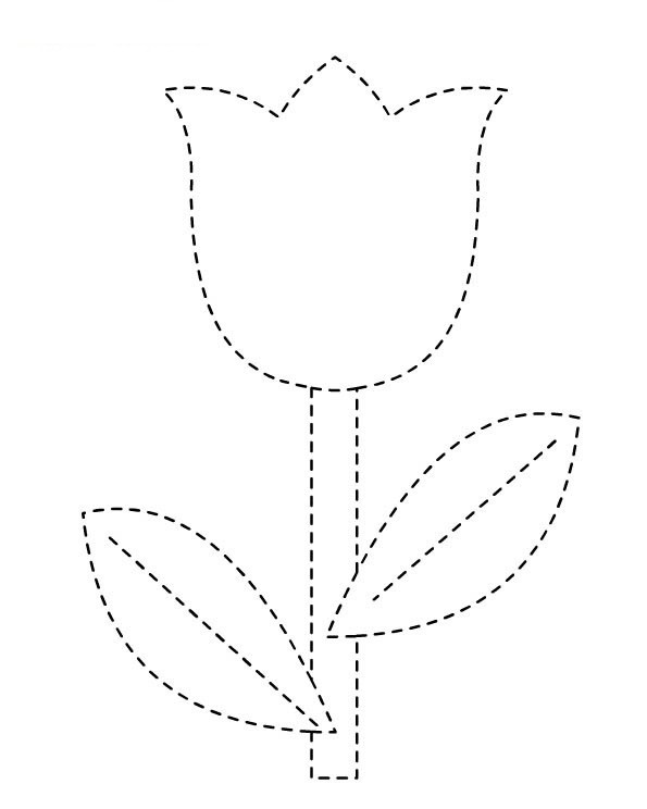 Tulipán #30340