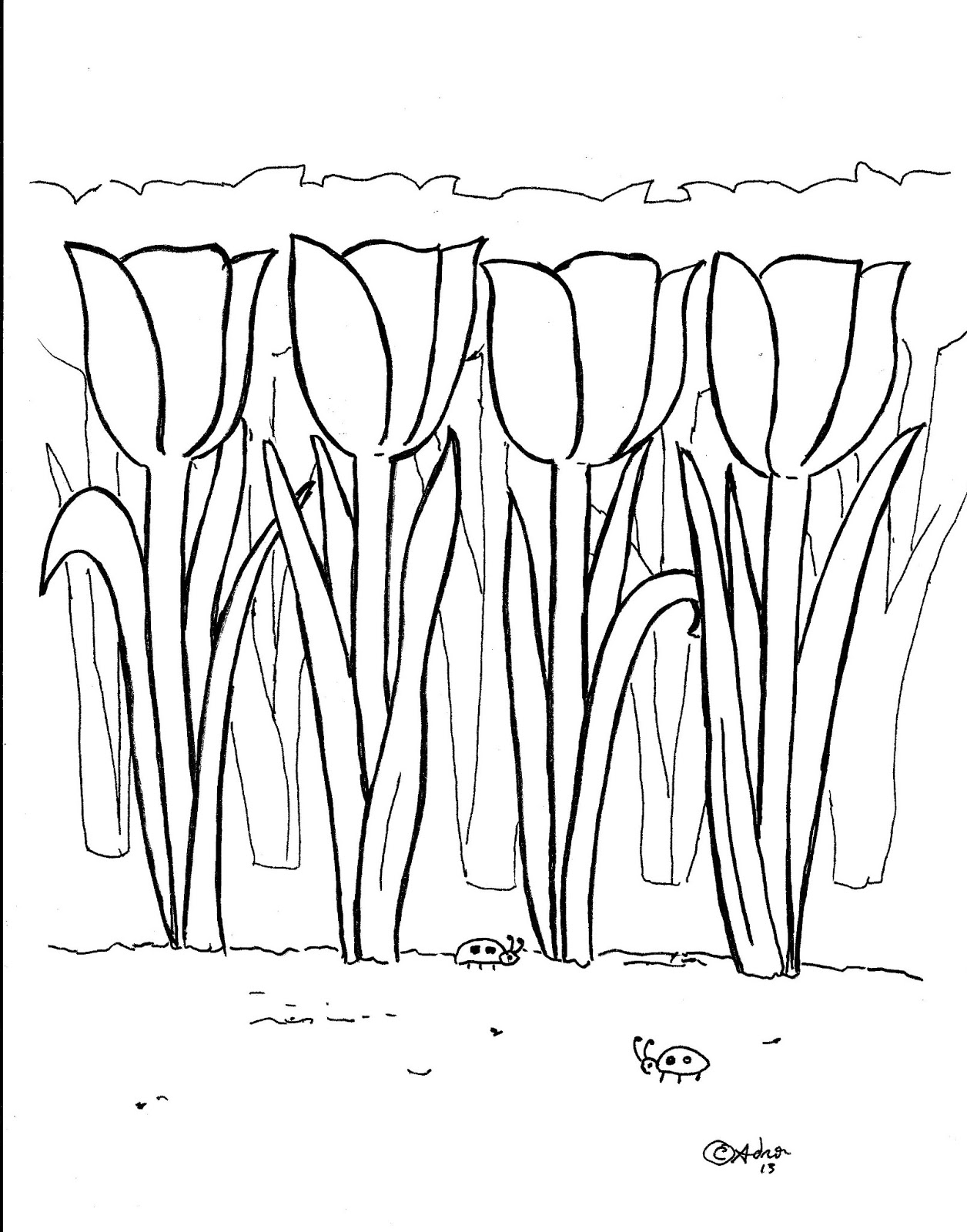 Tulipán #30358