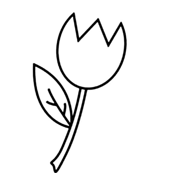 Tulipán #30363