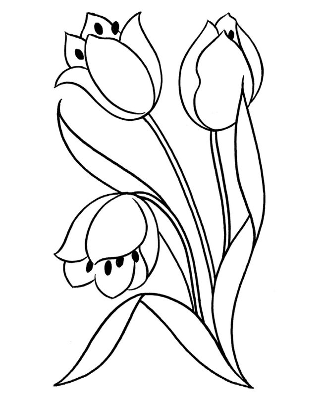 Tulipán #30382